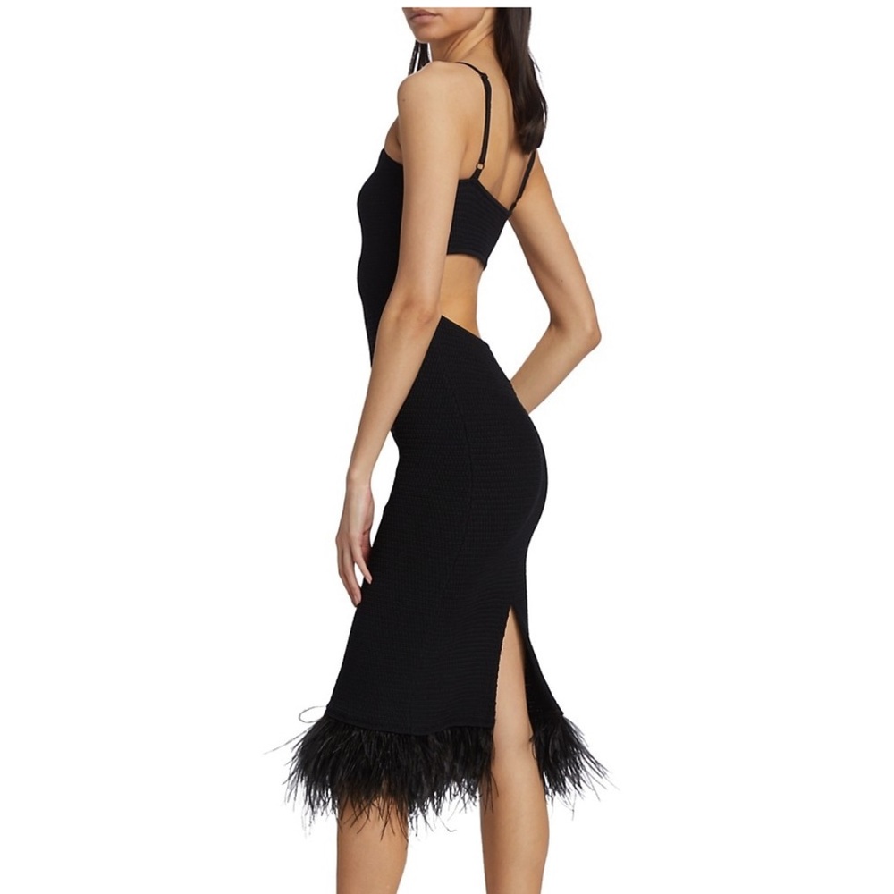 Frame crochet feather dress